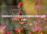 亚盘网站怎么买球如何在亚盘网站上购买足球比赛？