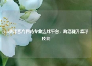 nba买球官方网站专业选球平台，助您提升篮球技能
