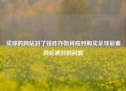 买球的网站封了钱咋办如何应对购买足球彩票网站被封的问题