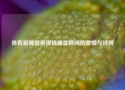 体育新闻报道现场捕捉瞬间的激情与拼搏