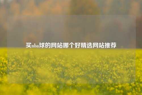 买nba球的网站哪个好精选网站推荐