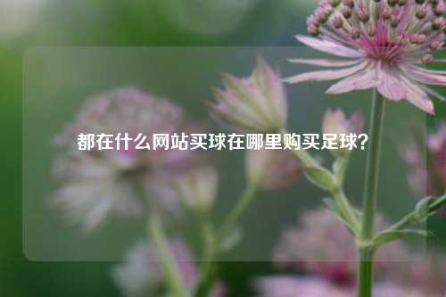 都在什么网站买球在哪里购买足球？
