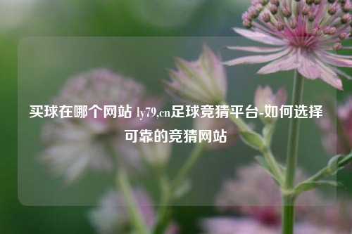 买球在哪个网站 ly79,cn足球竞猜平台-如何选择可靠的竞猜网站