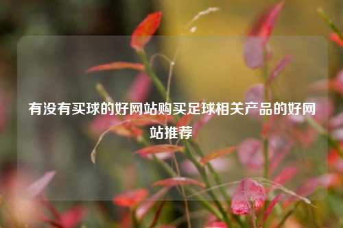 有没有买球的好网站购买足球相关产品的好网站推荐