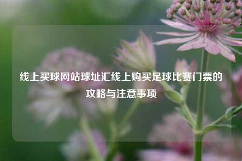 线上买球网站球址汇线上购买足球比赛门票的攻略与注意事项