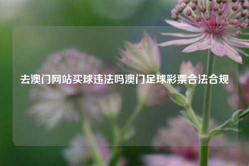 去澳门网站买球违法吗澳门足球彩票合法合规