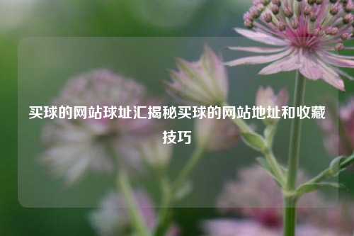 买球的网站球址汇揭秘买球的网站地址和收藏技巧
